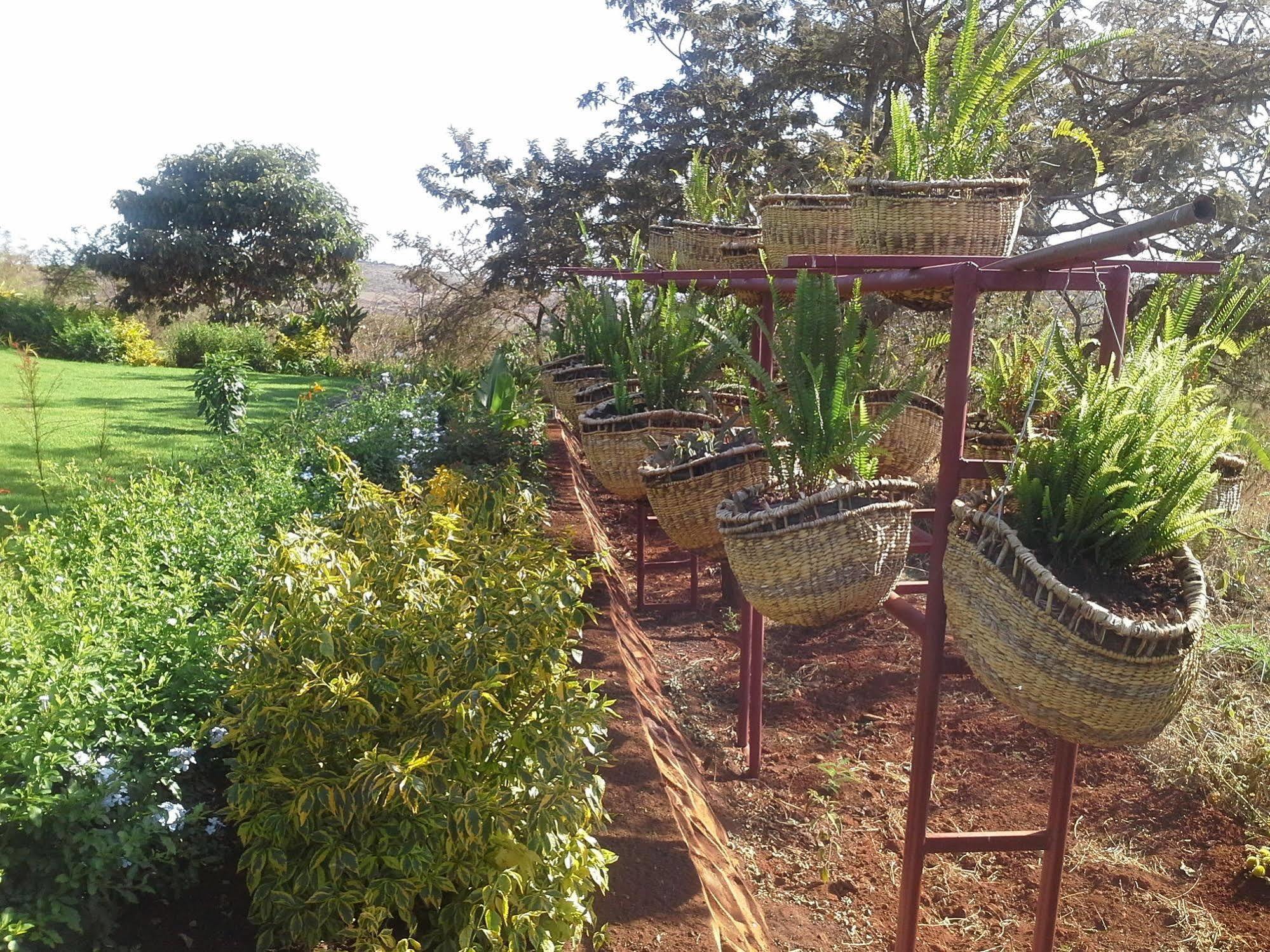 Acacia Farm Lodge Ngorongoro Dış mekan fotoğraf