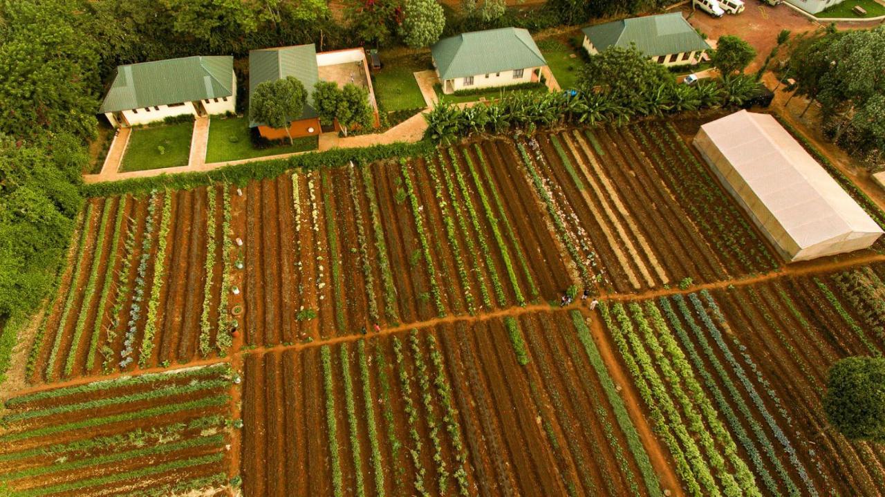 Acacia Farm Lodge Ngorongoro Dış mekan fotoğraf